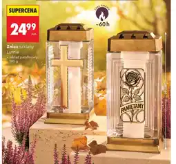 Biedronka Wkład parafinowy Lumia oferta