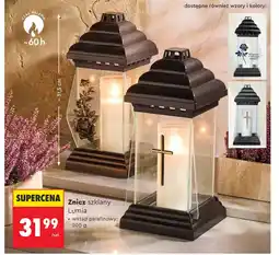 Biedronka Znicz Lumia oferta