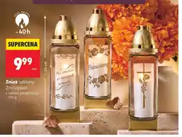 Biedronka Znicz Zniczplast oferta