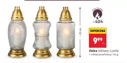 Biedronka Wkład parafinowy Lumia oferta