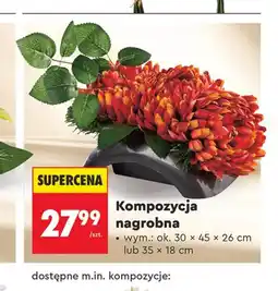 Biedronka Kompozycja nagrobna Ok oferta