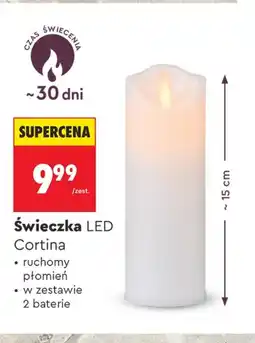 Biedronka Świeczka led Cortina oferta