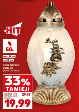 Kaufland Znicz szklany Eustoma oferta