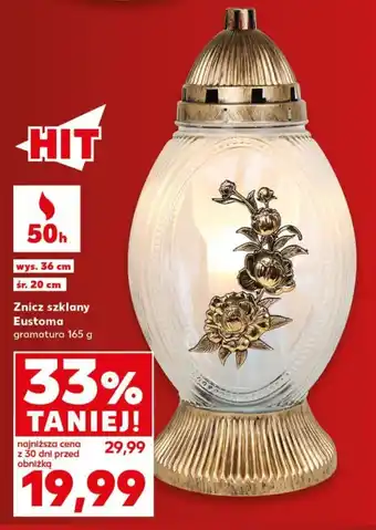 Znicz szklany Eustoma
