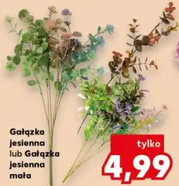 Kaufland Gałązka jesienna oferta