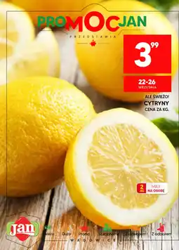 Market Jan Cytryny oferta