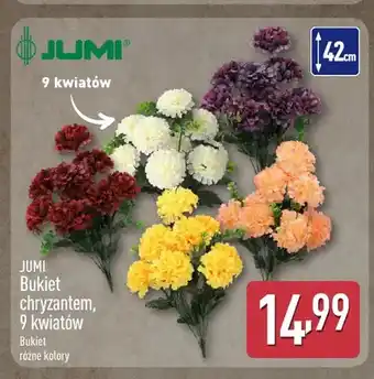 ALDI Bukiet chryzantem 9 kwiatów Jumi oferta