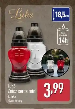 ALDI Znicz serce mini Luks oferta