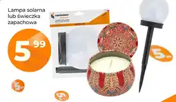 Polomarket Świeczka zapachowa Vergionic oferta