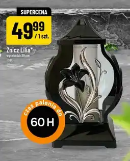 Polomarket Znicz Lilia oferta