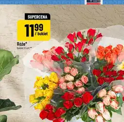 Polomarket Róże oferta