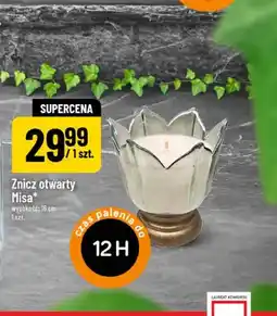 Polomarket Znicz otwarty Misa oferta