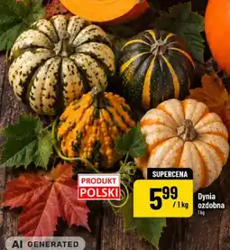 Polomarket Dynia ozdobna oferta