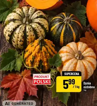 Polomarket Dynia ozdobna oferta