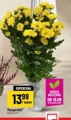 Polomarket Margaretki oferta