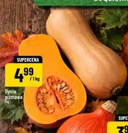 Polomarket Dynia piżmowa oferta