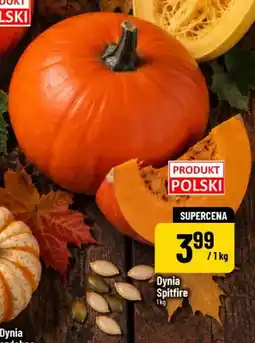 Polomarket Dynia Spitfire oferta