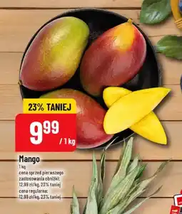 Polomarket Mango oferta