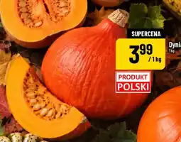 Polomarket Dynia Hokkaido oferta