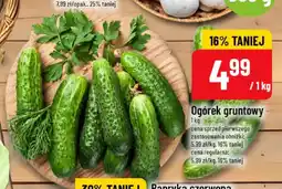 Polomarket Ogórki gruntowe oferta