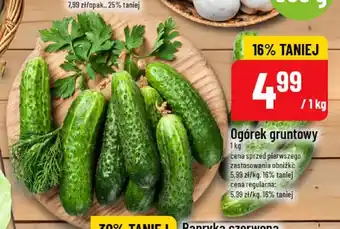 Polomarket Ogórki gruntowe oferta