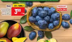 Polomarket Śliwki oferta