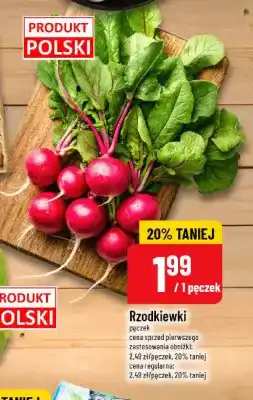 Polomarket Rzodkiewki oferta