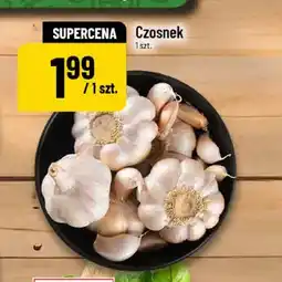 Polomarket Czosnek oferta
