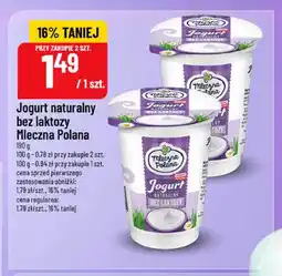 Polomarket Jogurt naturalny bez laktozy Mleczna Polana oferta