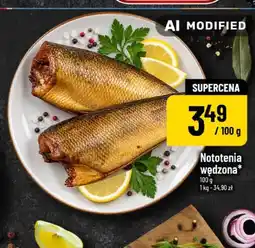 Polomarket Nototenia wędzona oferta