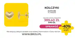 Briju Kolczyki złoto 585 KL-005048 Briju oferta