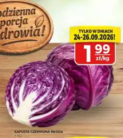 Top Market PSS Zgoda Kapusta Czerwona Młoda oferta