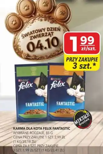 Karma dla kota Felix Fantastic