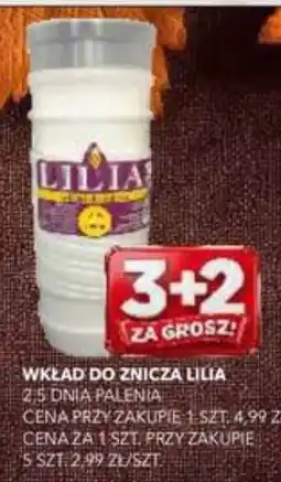 Top Market PSS Zgoda Wkład do znicza Lilia oferta