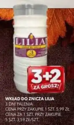 Top Market PSS Zgoda Wkład do znicza Lilja oferta