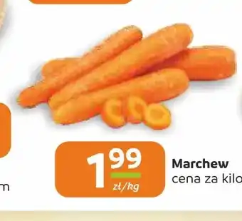 Marchew