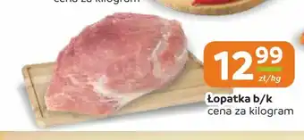 Łopatka b/k