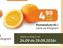 Społem Częstochowa Pomarańcze kl. I oferta