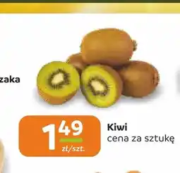 Społem Częstochowa Kiwi oferta