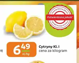 Społem Częstochowa Cytryny kl. I oferta