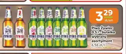 Społem Częstochowa Piwo Żywiec oferta