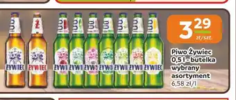 Społem Częstochowa Piwo Żywiec oferta