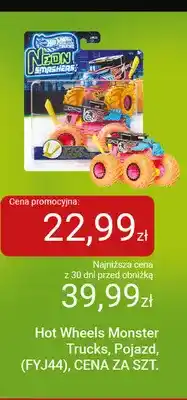 Smyk Pojazd Hot Wheels Monster Trucks FYJ44 oferta