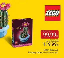 Smyk Klocki LEGO Botanical Kwitnący kaktus 11509 oferta