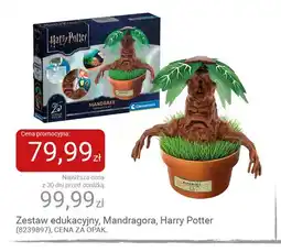 Smyk Zestaw edukacyjny Mandragora Harry Potter oferta