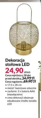 Agata Meble Dekoracja stołowa LED 17,5x28 cm oferta