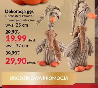 Dekoracja gęś