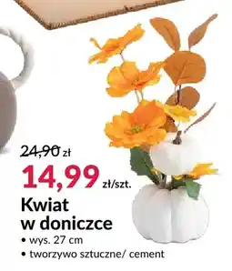 Agata Meble Kwiat w doniczce wys. 27 cm oferta