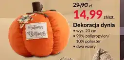 Agata Meble Dekoracja dynia oferta
