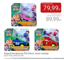 Smyk Pojazd tematyczny Psi Patrol oferta